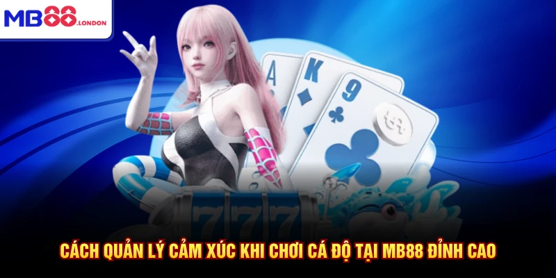 Cách quản lý cảm xúc khi chơi cá độ đỉnh cao