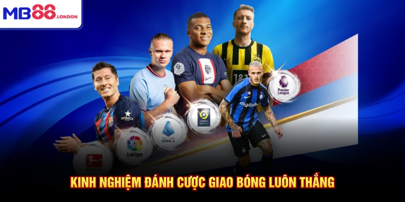 Kinh nghiệm đánh cược giao bóng luôn thắng