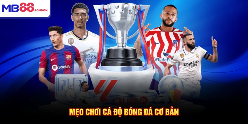 Mẹo chơi cá độ bóng đá cơ bản