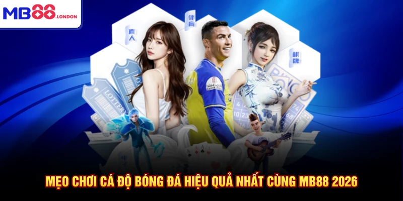 Mẹo chơi cá độ bóng đá