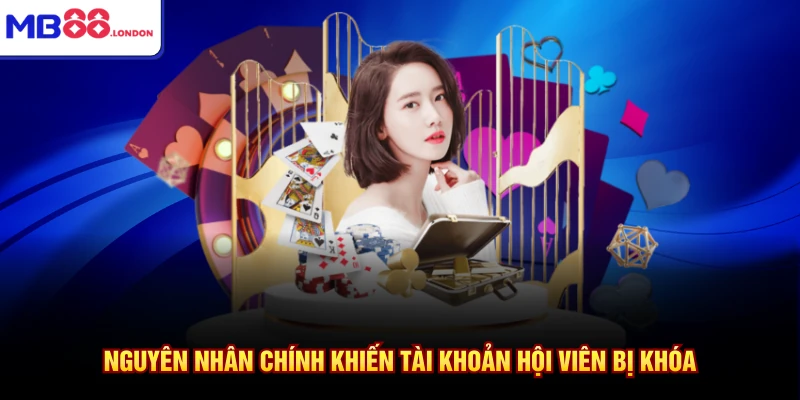 Nguyên nhân chính khiến tài khoản hội viên bị khóa