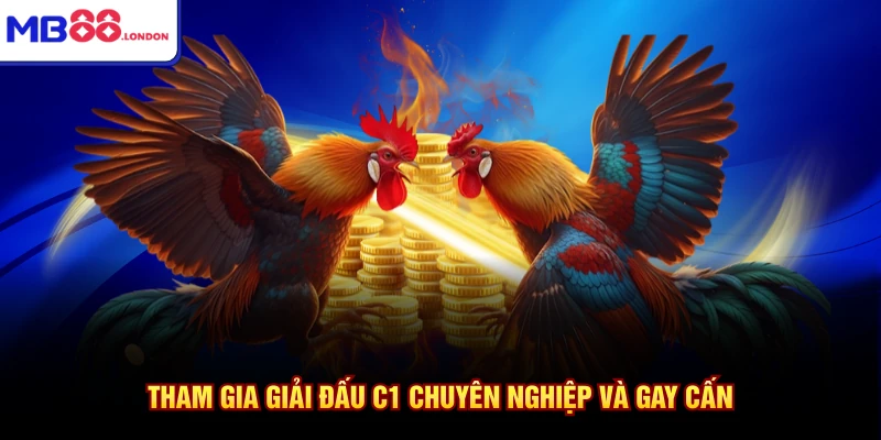 Tham gia giải đấu C1 chuyên nghiệp và gay cấn